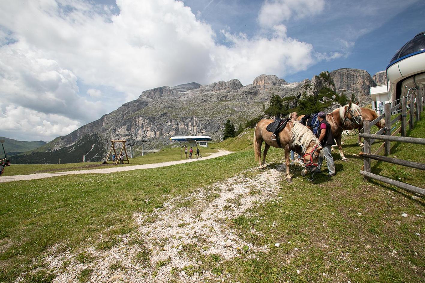 Hotel Alpenrose Arabba Esterno foto